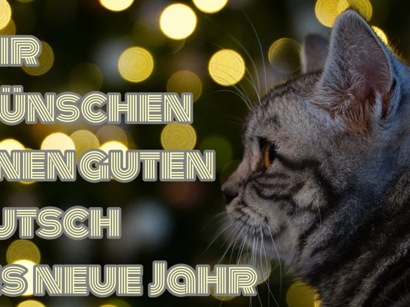 Auf ins Neue Jahr… Auf ins Neue Jahr…