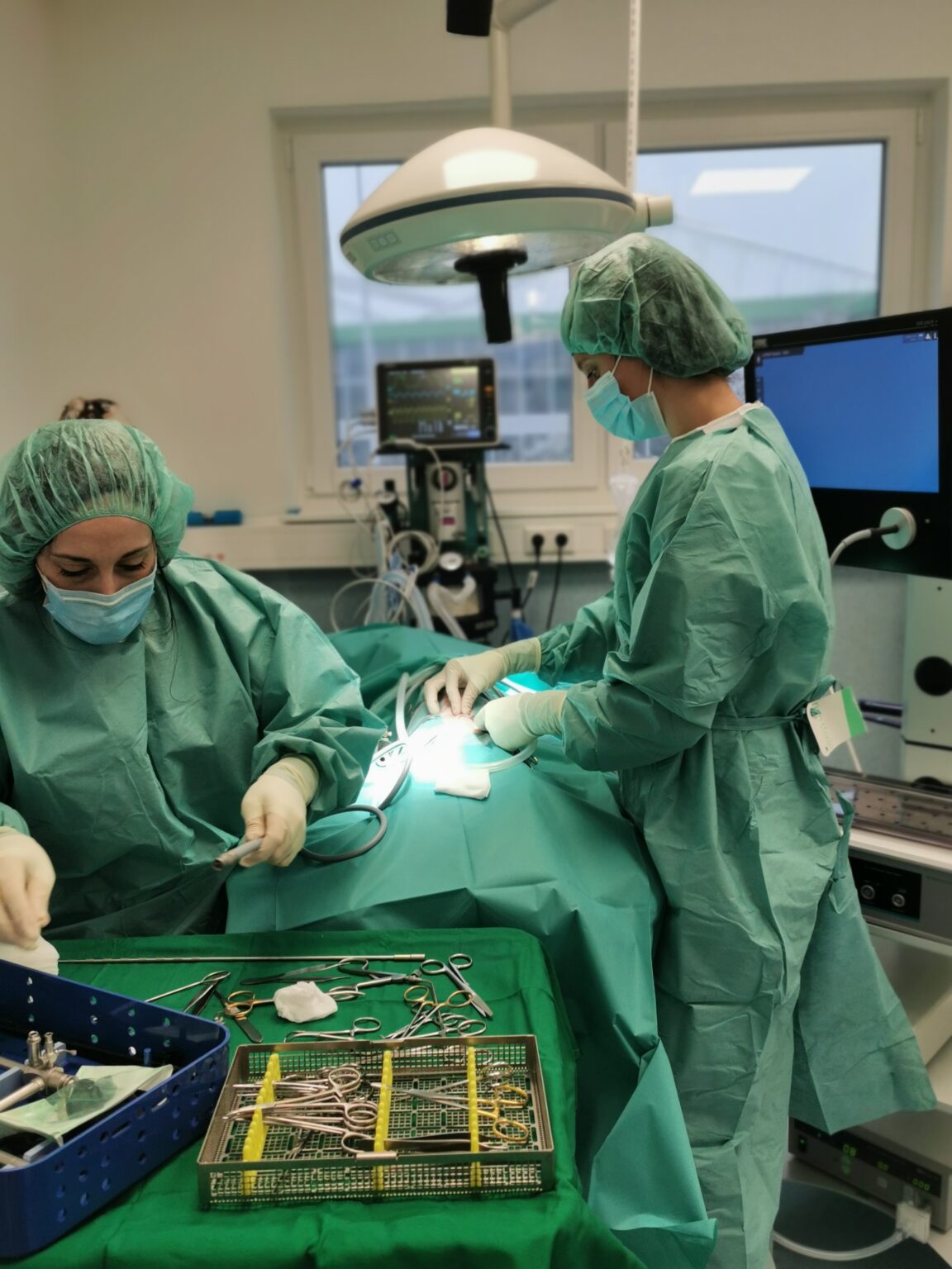 Alle Chirurgen sind Aufschneider… VET Chemnitz