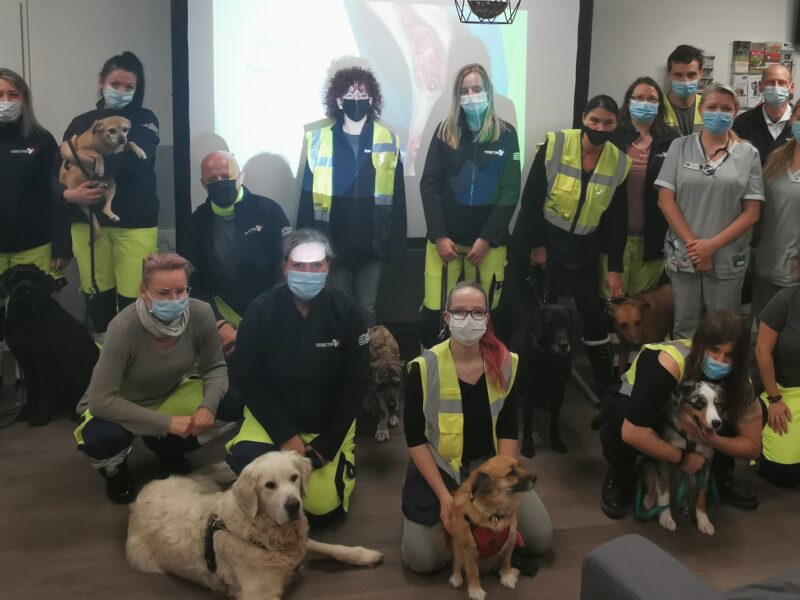 Erste Hilfe Seminar mit der Tierrettung Erste Hilfe Seminar mit der Tierrettung