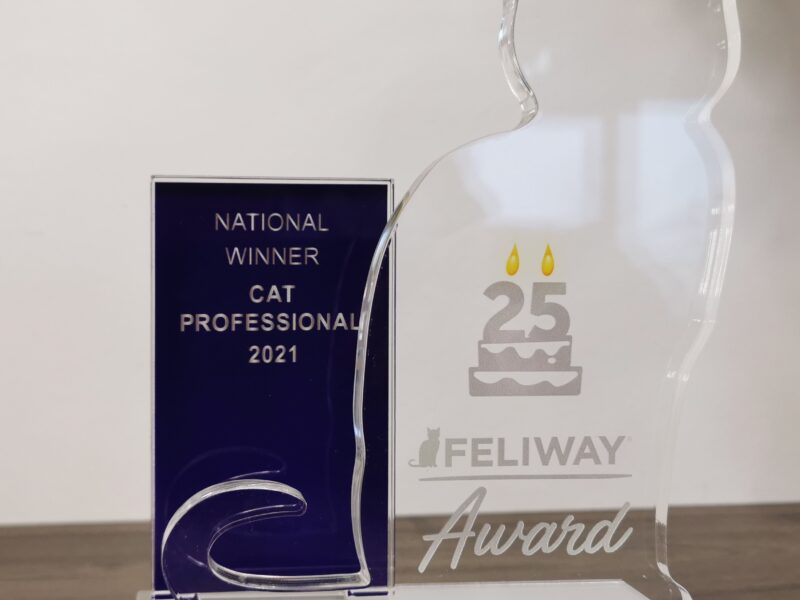 Feliway Award international GEWONNEN Feliway Award international GEWONNEN