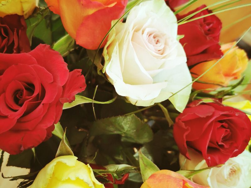 Alles Gute zum Frauentag Alles Gute zum Frauentag
