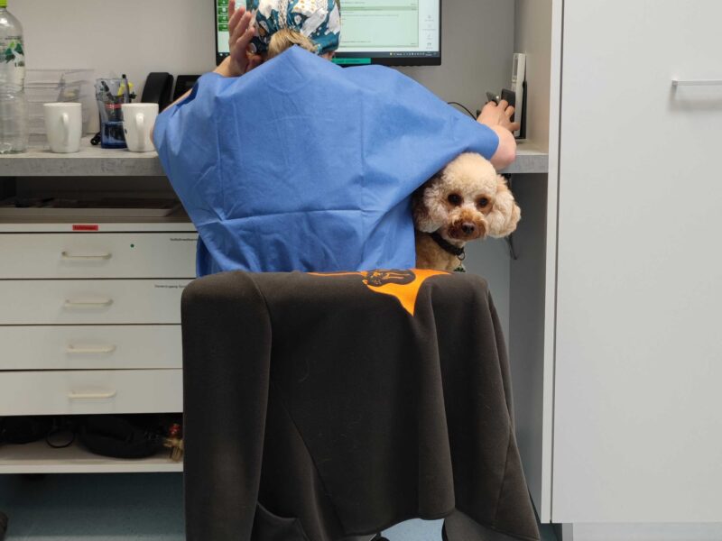 Manche Patienten nerven uns so sehr, … Manche Patienten nerven uns so sehr, …