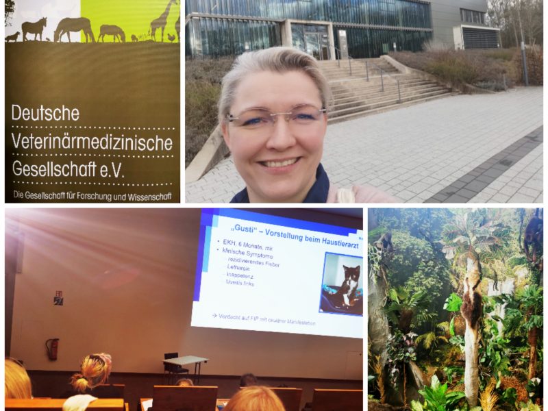 Besuch der InnLab Besuch der InnLab