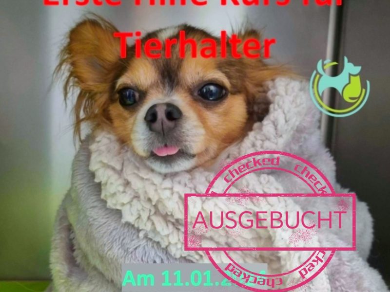 Erstes Tierhalterseminar für Erste Hilfe Erstes Tierhalterseminar für Erste Hilfe