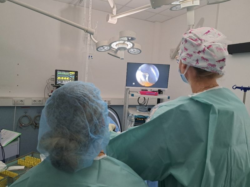 Arthroskopie, wenn es zwickt im Knie Arthroskopie, wenn es zwickt im Knie