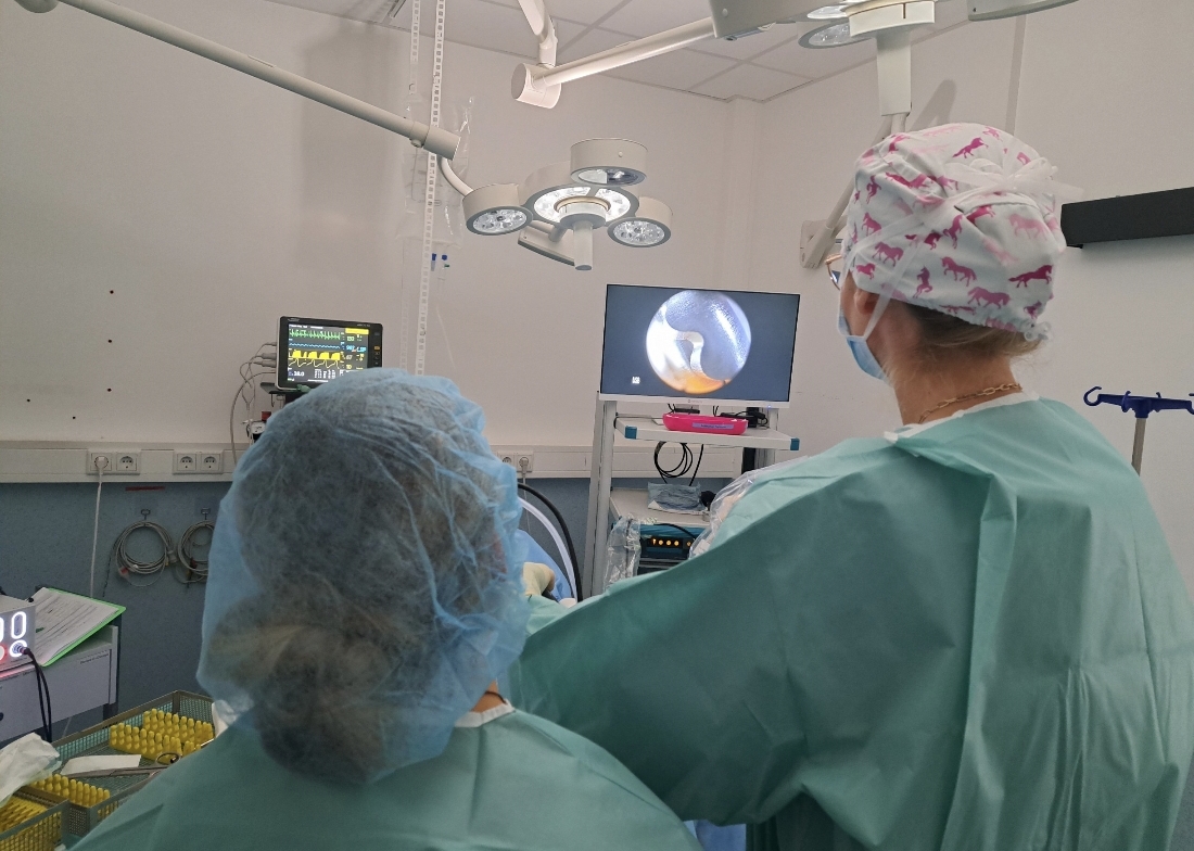 Arthroskopie, wenn es zwickt im Knie