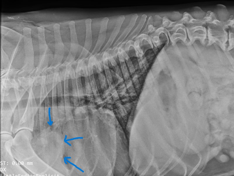 Lungentumor im Röntgen: Gibt es noch Hoffnung?