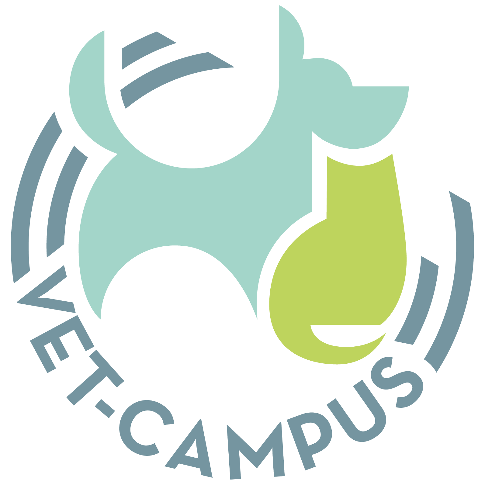 SAVE the Date Vet – Der Chemnitz Campus startet in die nächste Runde