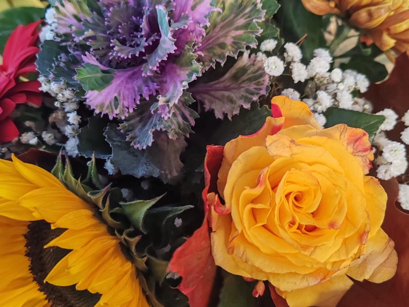 Herzlich Willkommen im Team