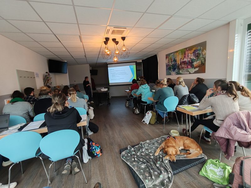 Traumatologie Kurs im Fachzentrum