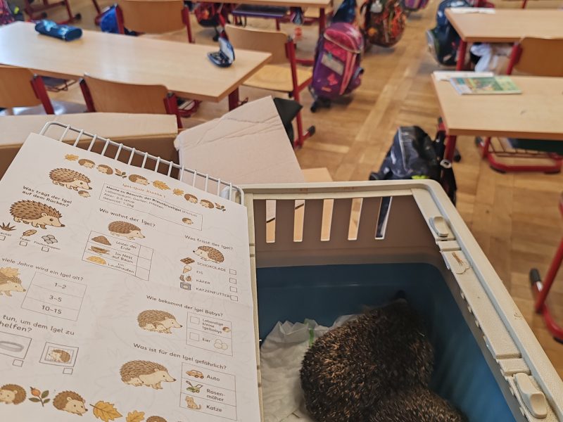Der Igel macht Schule