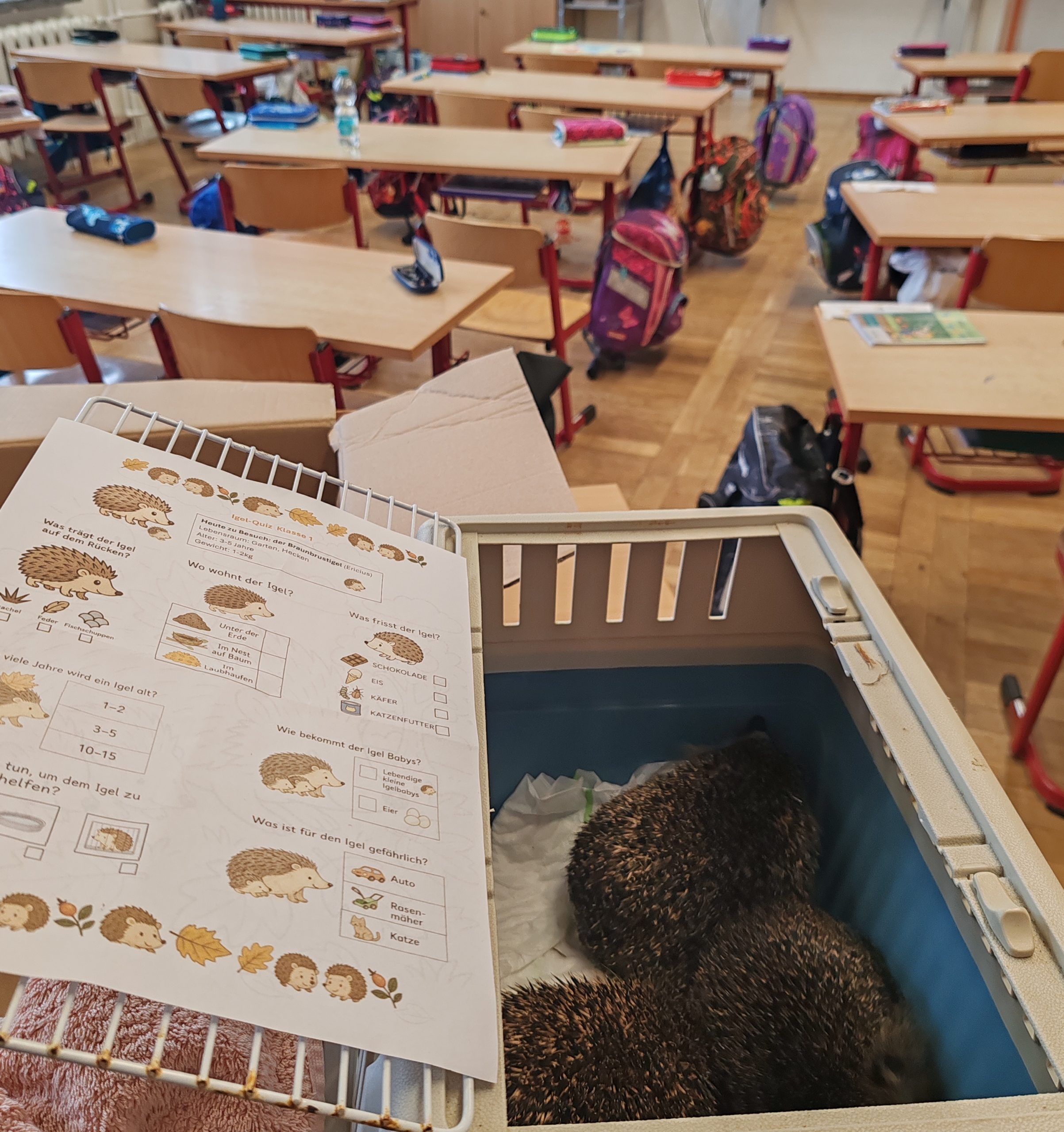Der Igel macht Schule Der Igel macht Schule