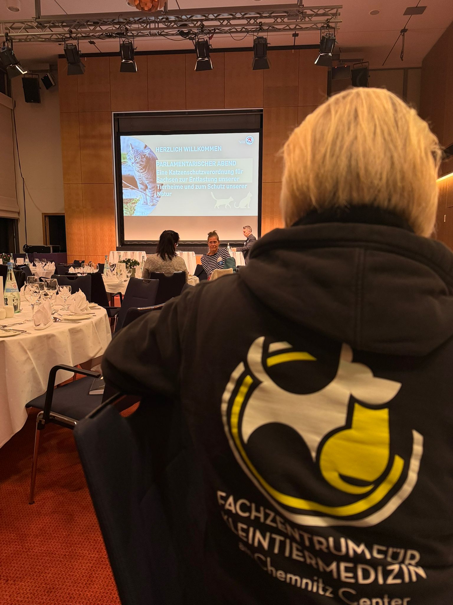 Katzenleid verhindern