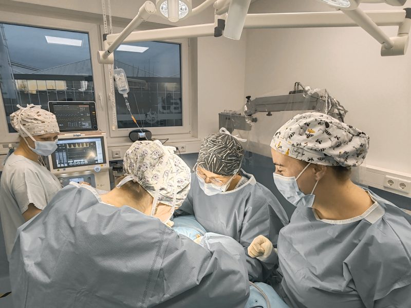 Auf zu neuen Abenteuern… FTA für Chirurgie gesucht