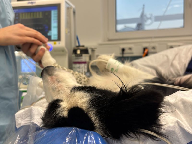 Herzlichen Glückwunsch