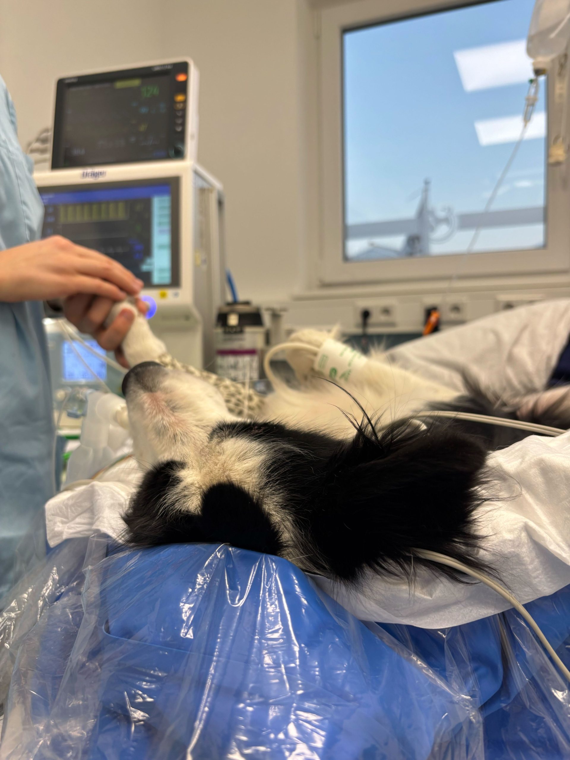 Herzlichen Glückwunsch Herzlichen Glückwunsch