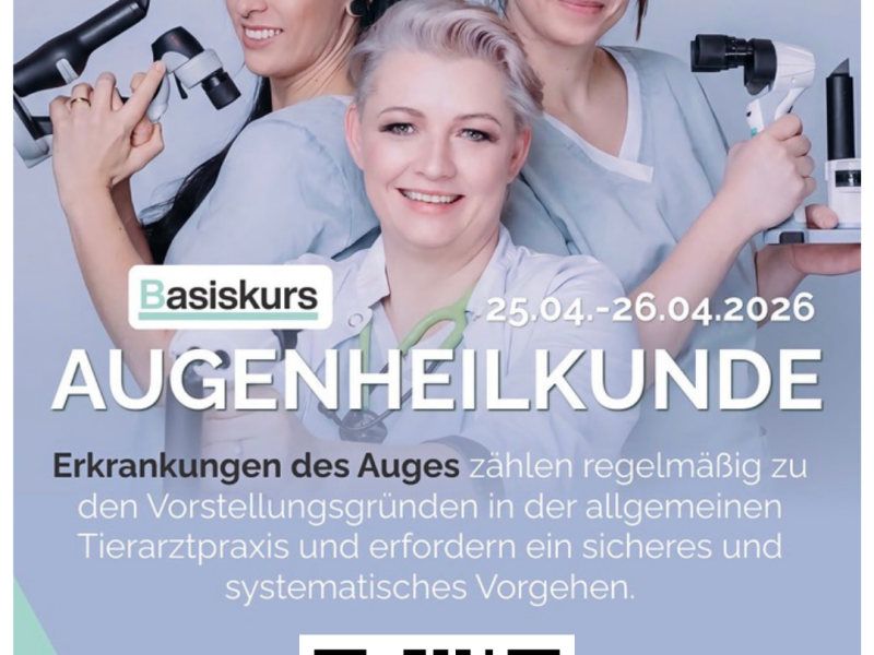 Basiskur Ophthalmologie im Personal Training